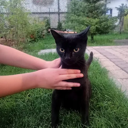 Pod Bukami アパート