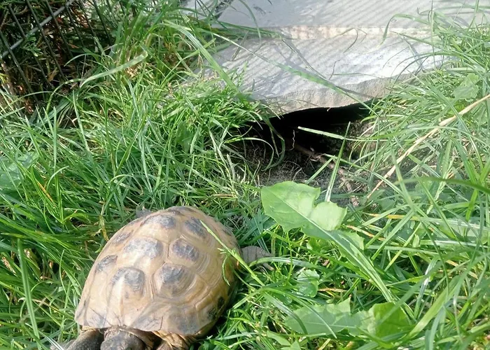 Pod Bukami דירה רייצ'ה