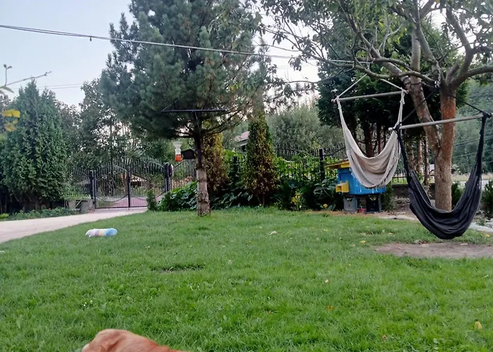 Pod Bukami * רייצ'ה